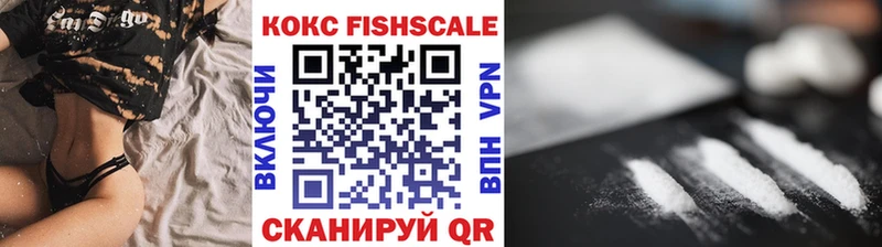 Cocaine Fish Scale  Купить закладки  Пыталово 