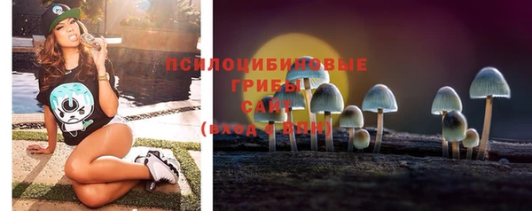 гидра Кинешма