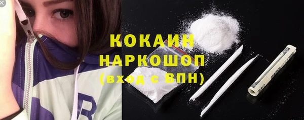 гидра Кинешма