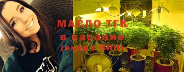 гидра Кодинск